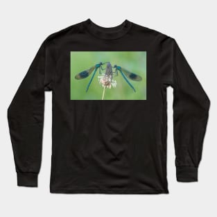 Two Male Banded Demoiselles on Plantain Stalk Long Sleeve T-Shirt